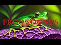 FROG SOUNDS, 3 hours relaxing frog sounds, frog croaking, crickets, swamp sound, nature sound, asmr.