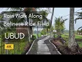 Download Lagu Relaxing Walk in Rain Through Rice Fields of Ubud, Bali | Natural Ambience Walking Tour 4K
