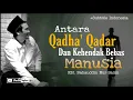 Download Lagu Antara Qadha' Qadar Dan Kehendak Bebas Manusia | Gus Baha