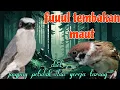 Download Lagu Jingjing petulak dan gereja tarung fuuul tembakan maut