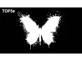 Download Lagu Het effect van een vlinder vleugelslag | Deze video veranderd je leven/ documentaire