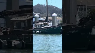 #fyp #dream #doberman #pets #boat