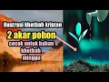 Download Lagu ilustrasi khotbah kristen ! 2 akar pohon #ilustrasikhotbah