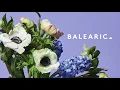 Hubbabubbaklubb - Mopedbart (Olefonken’s Autostrada Miks)