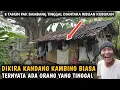 Lagu KAGET‼️DIKIRA KANDANG KAMBING TERNYATA ADA YANG TINGGAL