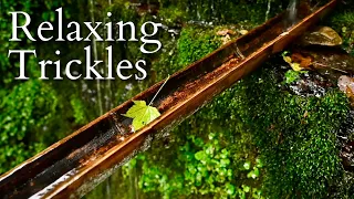 10Hrs Of Trickling Water Guaranteed To Help You Sleep Relax Or Study 