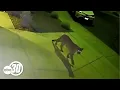 Mountain lion seen roaming through Merced neighborhood