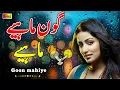 Lagu Goon Mahiye 2026 | New Punjabi Tappy Mahiye Boliyan | Pakistani Desi Program Songs