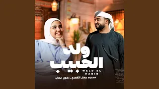 ولد الحبيب رضوي ايهاب دندنها