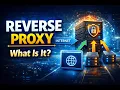 What Is a Reverse Proxy And Why Your Backend Needs One