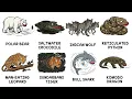 Every Animal That Actively Hunts Humans