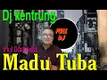 Download Lagu DJ Dangdut Madu tuba - Inul Daratista ( Jaelani Abdul ) madu tuba - Inul Daratista