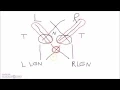 Neuroanatomy - The Visual Pathway Visual Mnemonic
