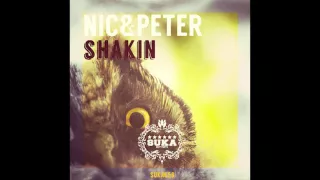 nic u0026peter shakin