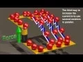 Resistors - Ohm s Law is not a real law