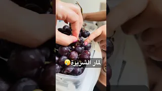 لمار الشريرة اكلت ببو العنب                        دندنها