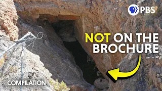 48 Minutes of the Weirdest Nature in America