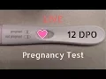 Live Pregnancy Test - 12dpo TTC Cycle 2 TTC Journey