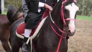 محمود الليثي اغنية ياعمنا من مسلسل نسر الصعيد بطولة محمد رمضان Nesr El Sa3eed Ramadan2018 