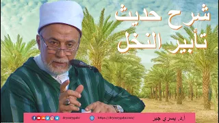 كيف نرد على قضية تأبير النخل  دندنها