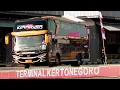 Lagu HUNTING BUS DI TERMINAL NGAWI | BUS ANGKATAN PAGI !ABSENIN BUS-BUS AKAP YANG MASUK TERMINAL NGAWI
