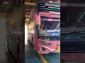 BIKIN KAGET!!! SUARA KLAKSON BUS PINK