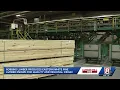 8 Investigates The role of Robbins Lumber in Maine s lumber industry