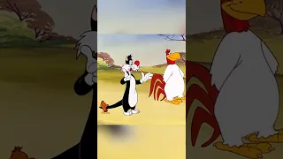 Which One of Them is a Rooster