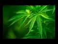 ROLLING ONE-LENIN RAMIRES FT 3ELEMENTO