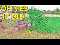 209cc PowerSmart mower DB2321PH review and torture test