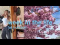 week in my life as a college student at hofstra university