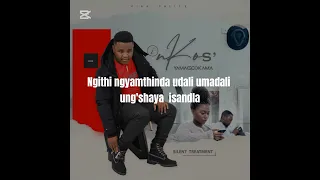 inkosyamagcokama silent treatment lyric video