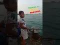 Download Lagu Pulau panjang memang keren