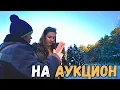 Lagu ❗️Аукцион❗️ХУТОР с домом ЗА 1 БАЗОВУЮ  🏡 в Беларуси. Аня так популярна, что даёт интервью! 😉