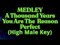 Download Lagu MEDLEY A Thousand Years You Are The  Reason Perfect High Male Key Karaoke