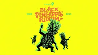 Neighbah (Official Audio) | Arlen Seaton [Black Pineapple Riddim Antigua 2026]