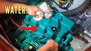 Ep 331 | We’ve Got WATER in the ENGINE! Sailing Nutshell, Australia