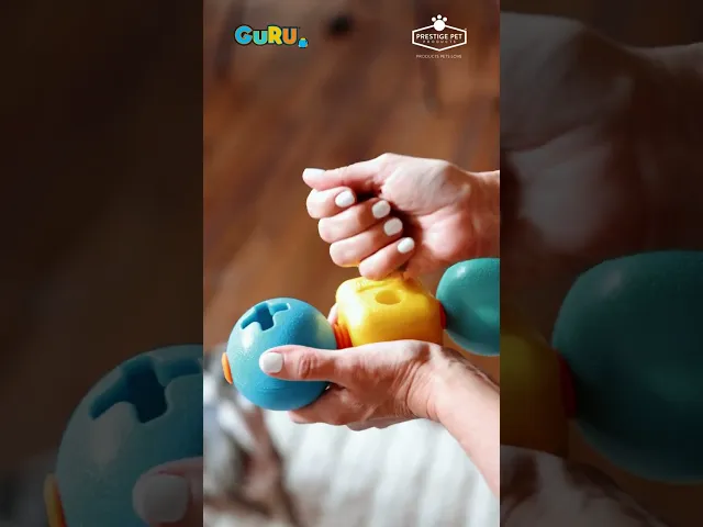 Guru Treat Trio