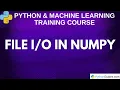 File in NumPy Read and Write Files with Python Easily