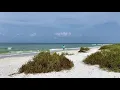 Robb s Tuesday Morning Beach Walk at Tigertail Beach and Sand Dollar Spit on Marco Island FL