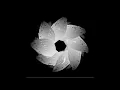 Tom Demac, Real Lies - White Flowers (Pablo Patch Remix) Full on Soundcloud, link on description.