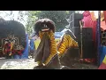 Lagu Pembukaan singo barong Turonggo Sekar Wangi.live magersari