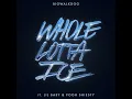 Whole Lotta Ice (feat. Lil Baby & Pooh Shiesty) - BigWalkDog