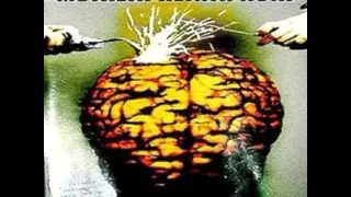 ultimata fatima hill metalik klinik asia 