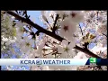What plants in Sacramento are high in pollen as spring begins