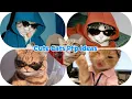 Looking for the CUTEST cat PFP ideas