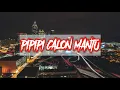 DJ pipipi calon mantul remix