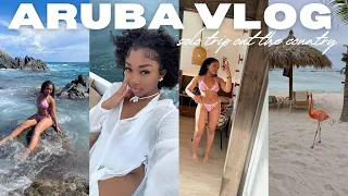 ARUBA VLOG 1ST SOLO TRIP OUT THE COUNTRY flamingo island luxury stay safari tour etc
