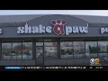 New York AG Files Lawsuit Against Long Island Pet Store Accused Of Selling Sick Animals