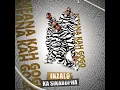 Mfana Kah Gogo - Intando (Official Audio) ft. OHP Sage, Lebo Muziq